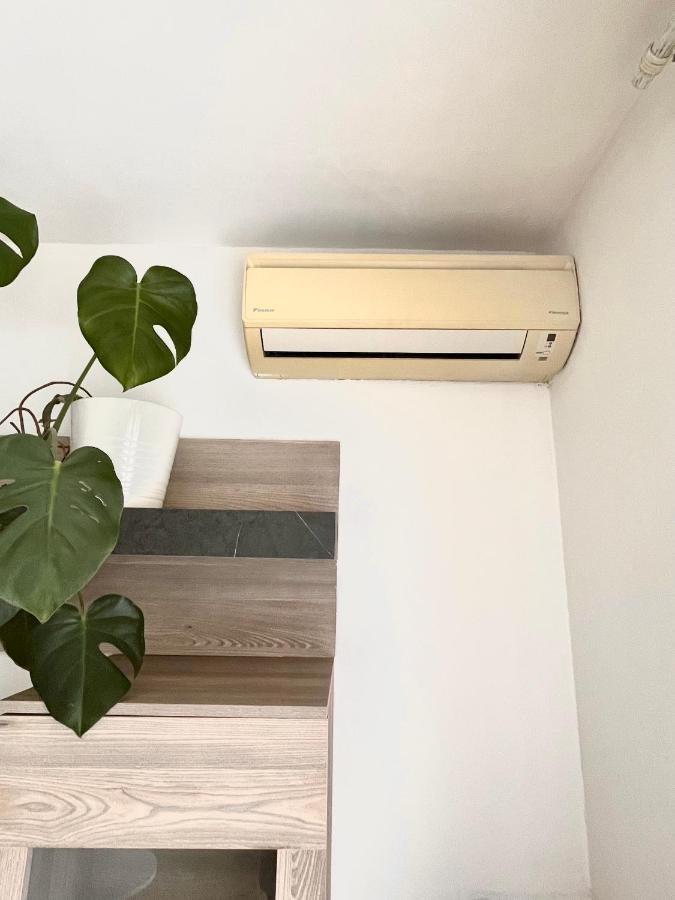 Antibes Home 2P 50M2 With Ac & Free Parking & 2 Balconies エクステリア 写真
